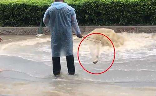 輸送帶廠家：廣州雨后內(nèi)澇嚴(yán)重，路人當(dāng)街捕魚