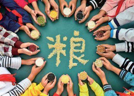 輸送帶廠家：第40個世界糧食日，食品安全很重要