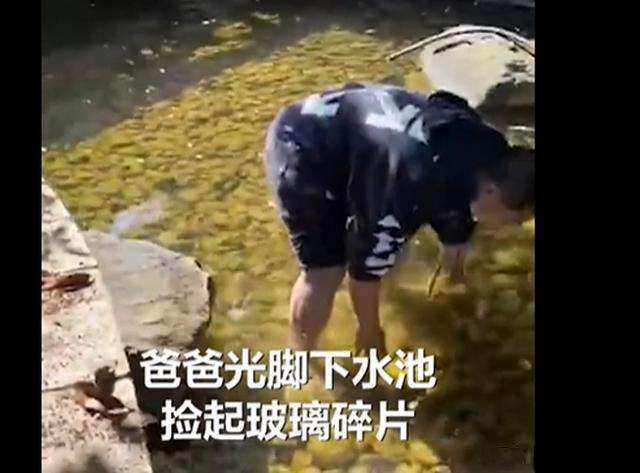 傳送帶廠家：榜樣！爸爸赤腳下水撈寶寶扔的玻璃渣
